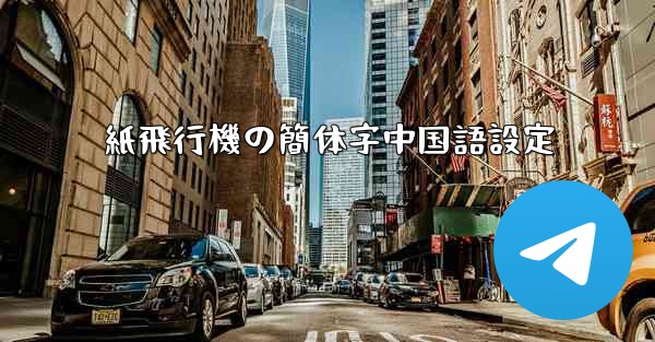 <b>紙飛行機の簡体字中国語設定</b>