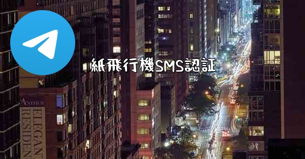 紙飛行機SMS認証