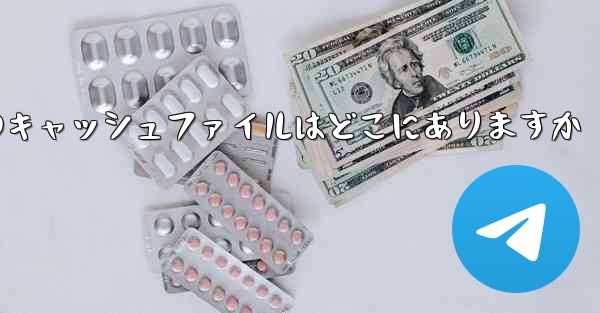 Mobile Paper Planeのキャッシュファイルはどこにありますか