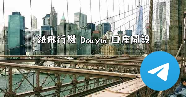 紙飛行機 Douyin 口座開設