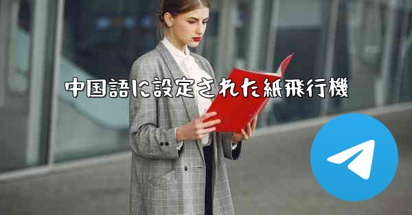 中国語に設定された紙飛行機