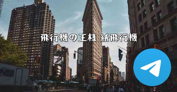 飛行機の王様 紙飛行機