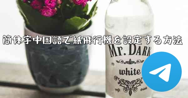 <b>簡体字中国語で紙飛行機を設定する方法</b>