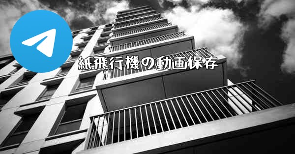 紙飛行機の動画保存