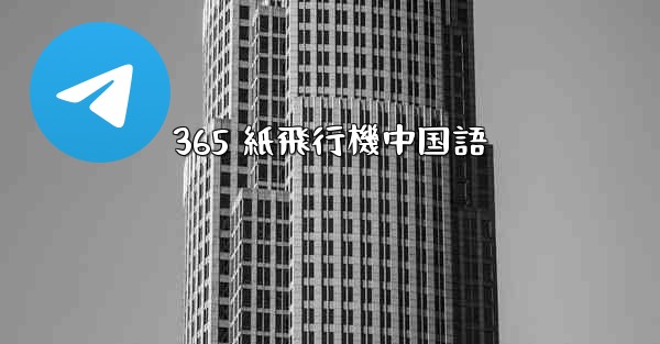 <b>365 紙飛行機中国語</b>