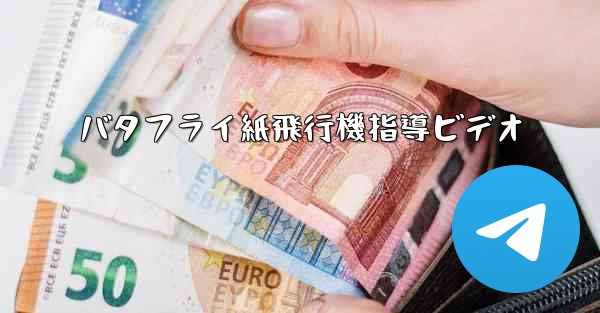 <b>バタフライ紙飛行機指導ビデオ</b>