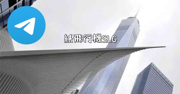 紙飛行機SLG