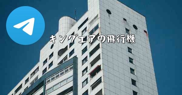 キングエアの飛行機