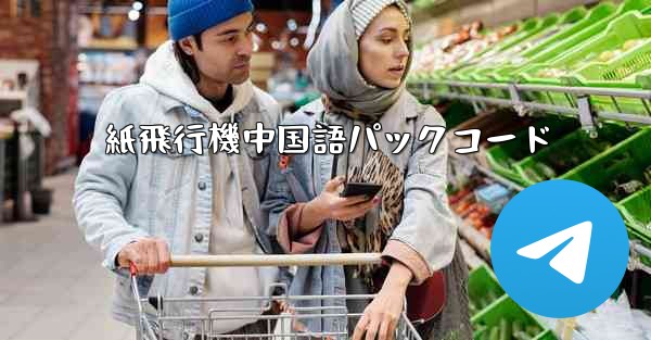 <b>紙飛行機中国語パックコード</b>