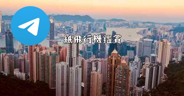 <b>紙飛行機鑑賞</b>