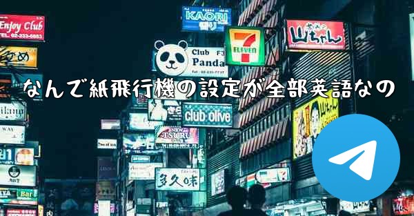 なんで紙飛行機の設定が全部英語なの