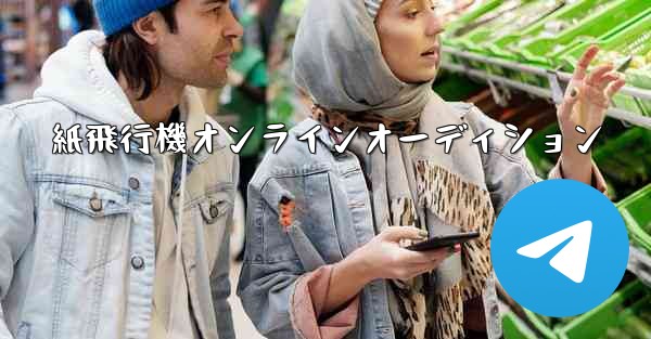 紙飛行機オンラインオーディション