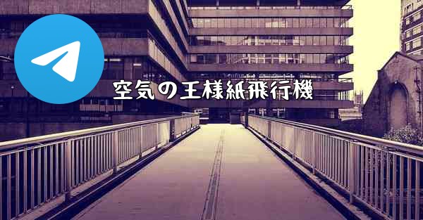 空気の王様紙飛行機