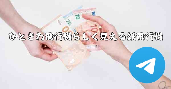 <b>ひときわ飛行機らしく見える紙飛行機</b>