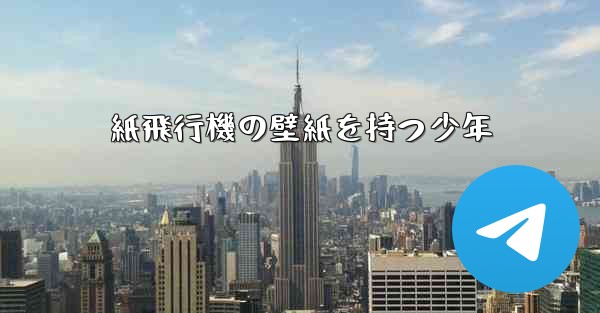 紙飛行機の壁紙を持つ少年