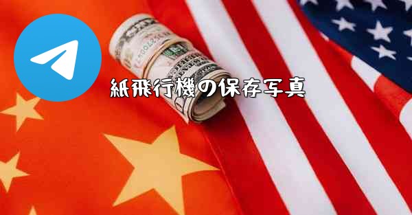 紙飛行機の保存写真