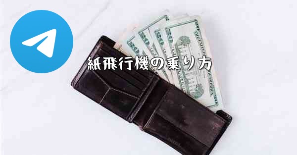 紙飛行機の乗り方