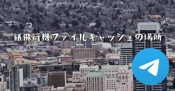 紙飛行機ファイルキャッシュの場所