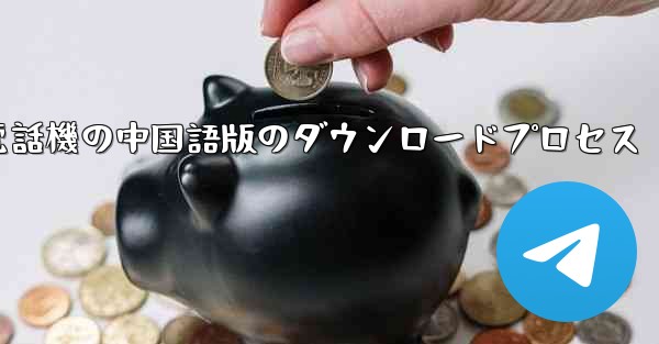 Apple 携帯電話機の中国語版のダウンロードプロセス