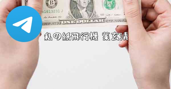 私の紙飛行機 葉玄清