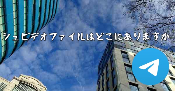 Paper Plane のキャッシュビデオファイルはどこにありますか