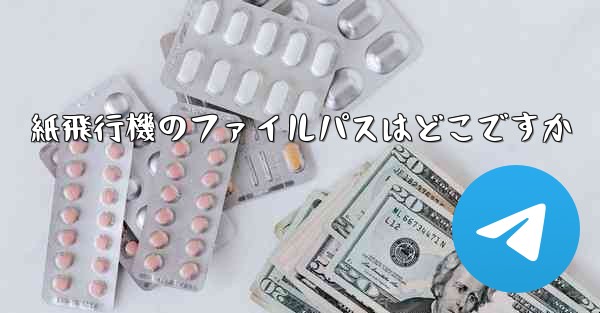 紙飛行機のファイルパスはどこですか