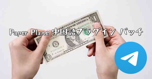 Paper Plane 中国語プラグイン パッチ