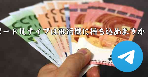 ヌードルナイフは飛行機に持ち込めますか