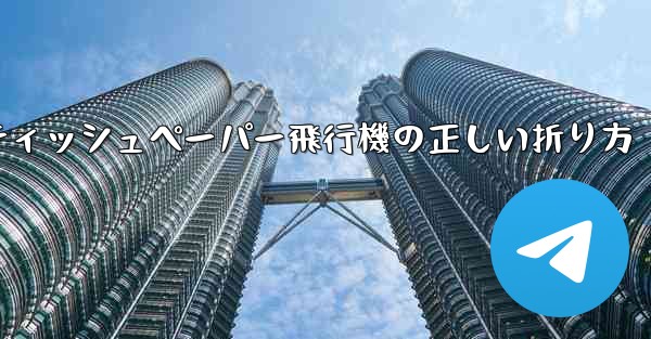 ティッシュペーパー飛行機の正しい折り方