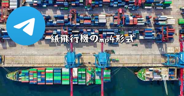 紙飛行機のmp4形式