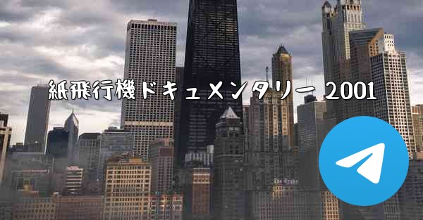 紙飛行機ドキュメンタリー 2001