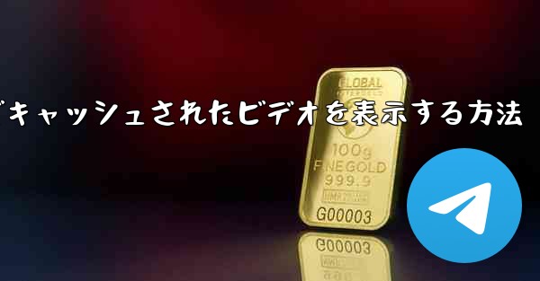 Paper Plane でキャッシュされたビデオを表示する方法