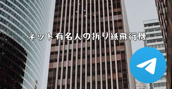 ネット有名人の折り紙飛行機