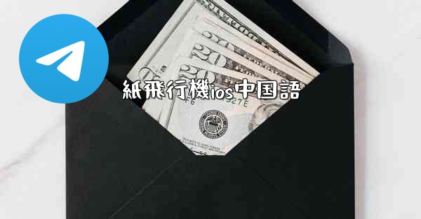 紙飛行機ios中国語