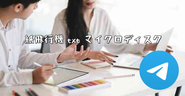 紙飛行機 txt マイクロディスク