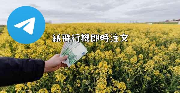 紙飛行機即時注文