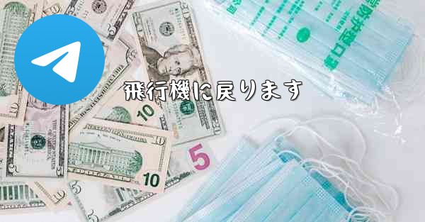 <b>飛行機に戻ります</b>