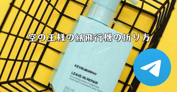 空の王様の紙飛行機の折り方