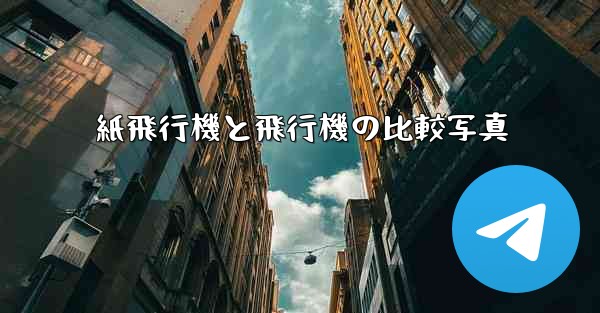 <b>紙飛行機と飛行機の比較写真</b>