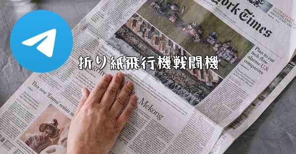 <b>折り紙飛行機戦闘機</b>