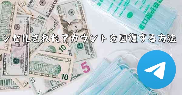 <b>Paper Planeのキャンセルされたアカウントを回復する方法</b>