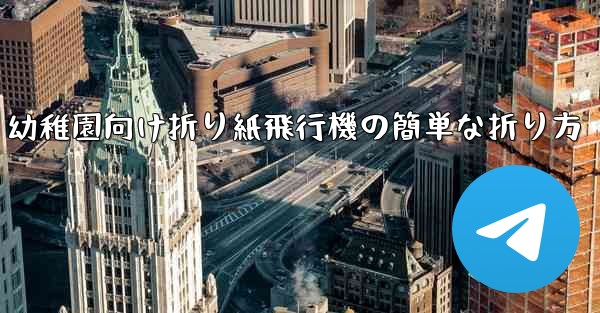 <b>幼稚園向け折り紙飛行機の簡単な折り方</b>