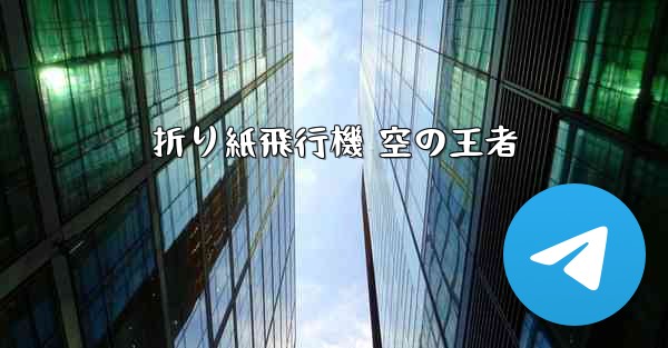 <b>折り紙飛行機 空の王者</b>