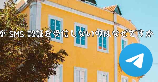 紙飛行機が SMS 認証を受信しないのはなぜですか