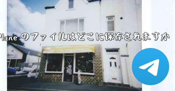 Paper Plane のファイルはどこに保存されますか