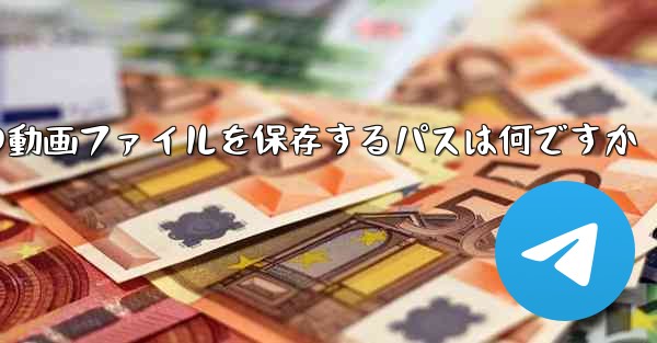 紙飛行機の動画ファイルを保存するパスは何ですか