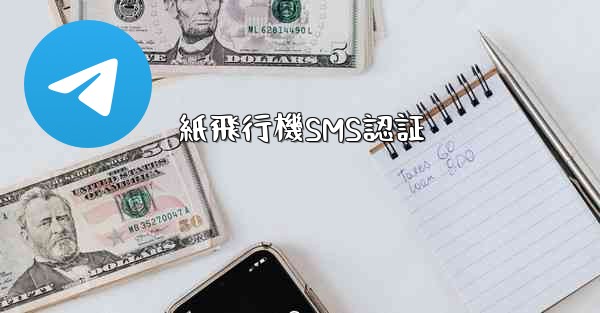 紙飛行機SMS認証