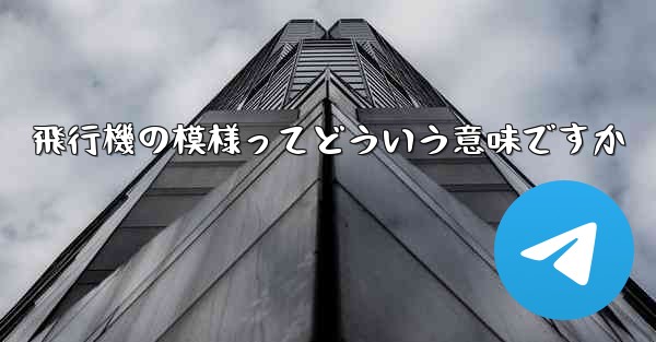 飛行機の模様ってどういう意味ですか