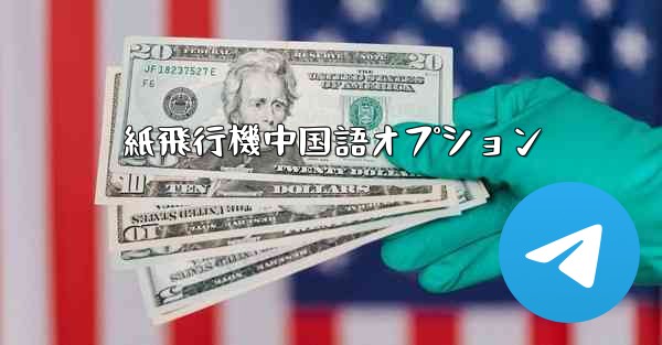 紙飛行機中国語オプション