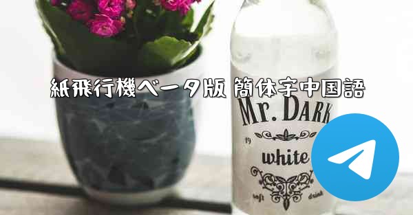 紙飛行機ベータ版 簡体字中国語